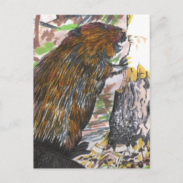 Carte Postale Castor occupé (Devant)