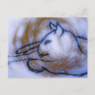 Carte Postale Cat