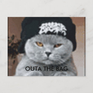 CARTE POSTALE CAT