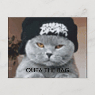 CARTE POSTALE CAT