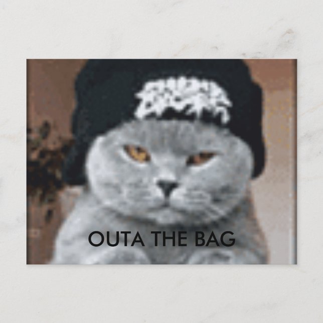 CARTE POSTALE CAT (Devant)