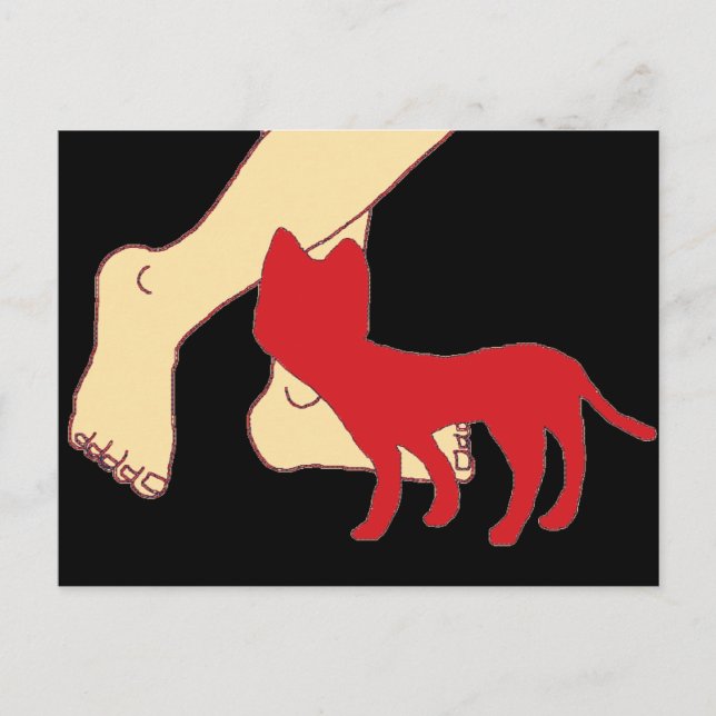 Carte Postale Cat (Devant)