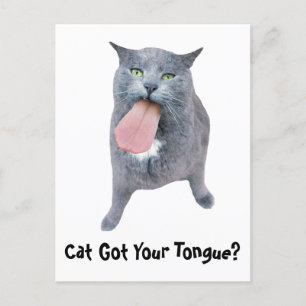 Carte Postale Cat A Te Langue ?
