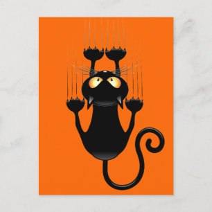 Carte Postale Cat Falling down fun dessin personnage