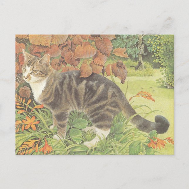 CARTE POSTALE CAT PAINTED POSTCARD (Devant)