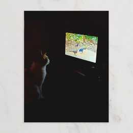 Carte Postale Cat Who Loves His Screentime Postcard