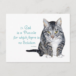 Carte Postale Cat Wisdom - un chat est un casse-tête