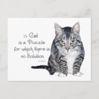 Cat Wisdom - un chat est un casse-tête