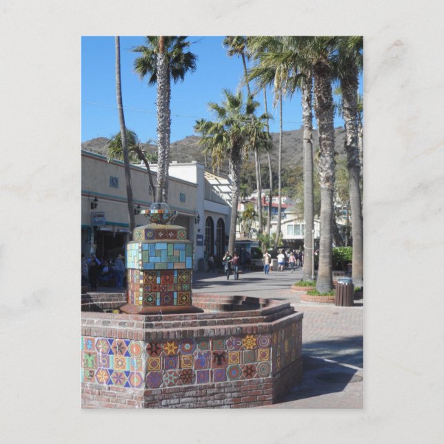 Carte Postale Catalina, Californie (Devant)