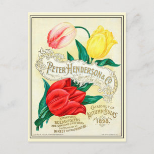 Carte Postale Catalogue de graines de fleurs de jardin vintage