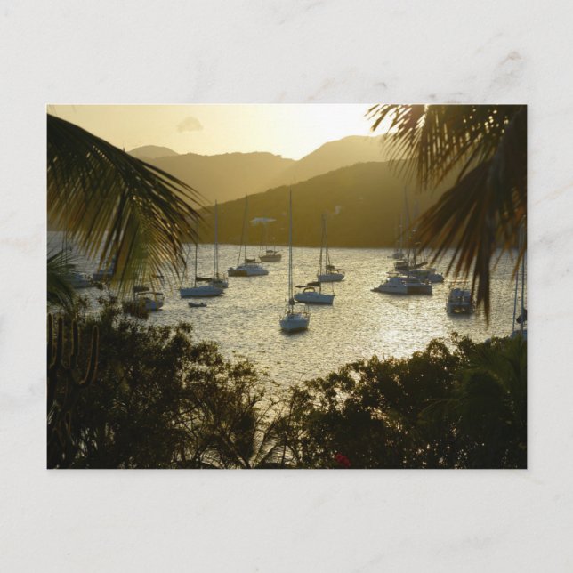 Carte Postale Catamarans et sailboats (Devant)