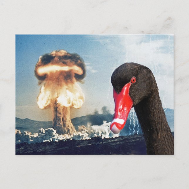 Carte Postale Catastrophe du cygne noir (Devant)