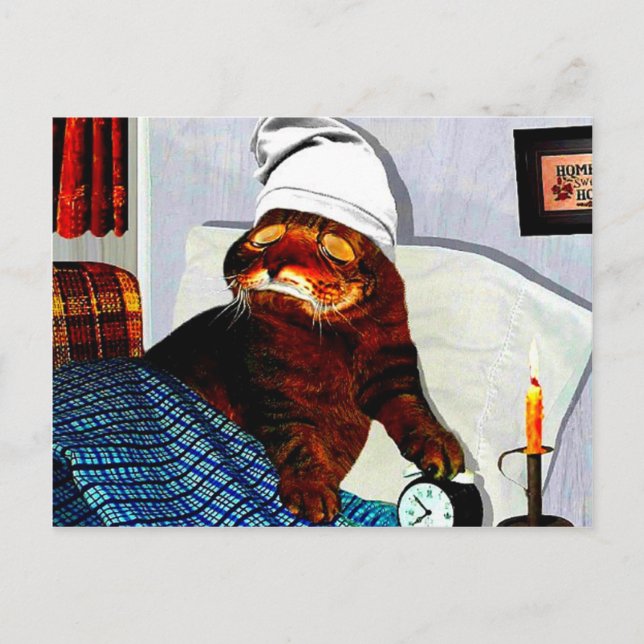 Carte Postale CATaTUDE (Devant)