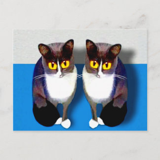 Carte Postale CATaTUDE