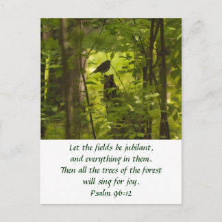 Carte Postale Catbird in the Forest Green