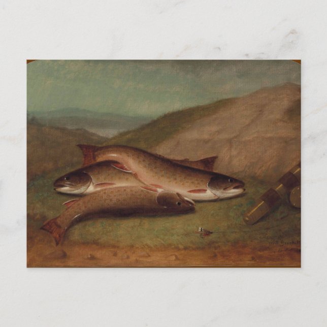 Carte Postale Catch of the Day Trout sur une rive de Riverbank (Devant)