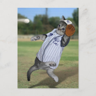 Carte Postale Catcher de chats en plein champ !