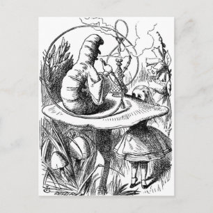 Carte Postale Caterpillar Fumer un Hookah Alice au pays des merv