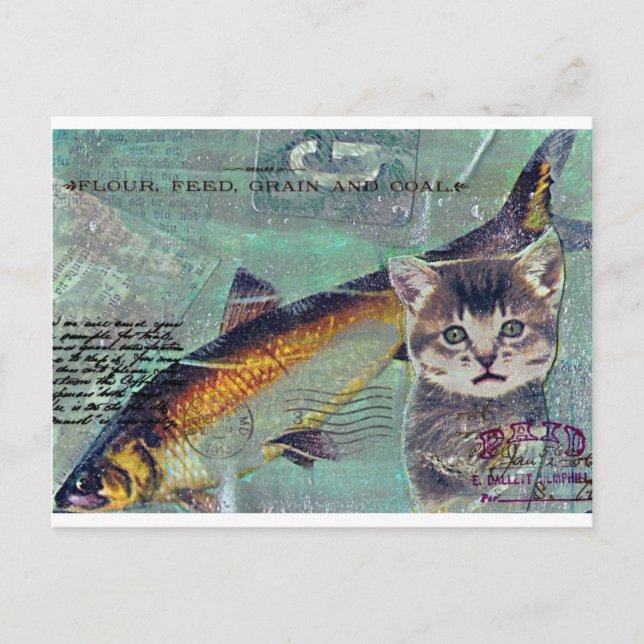 Carte Postale Catfishing (Devant)