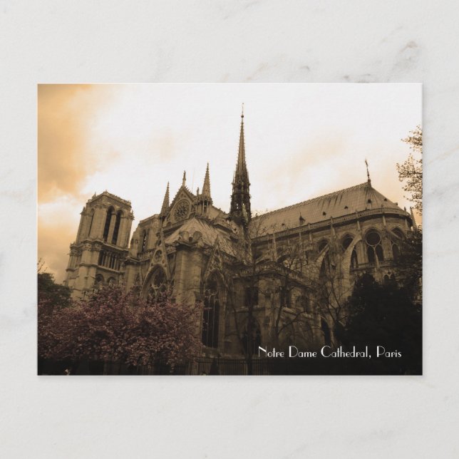 Carte Postale Cathédrale Notre-Dame (Devant)