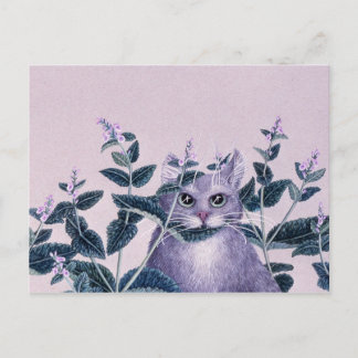 Carte Postale Catnip