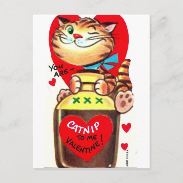 Carte Postale Catnip Vintage Valentine (Devant)