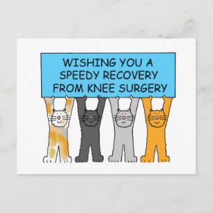 Carte Postale Cats de Knee Surgery