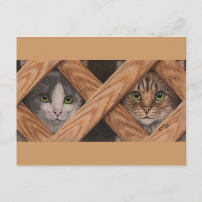 Carte Postale Cats Grey Tabby derrière la barrière de treillis c (Devant)