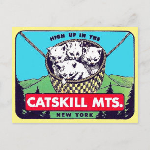 Carte Postale Catskill Mountains, New York Postcard