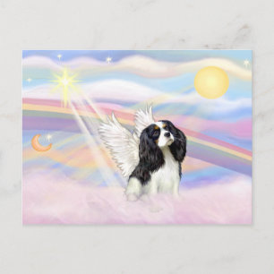 Carte Postale Cavalier King Charles Spaniel