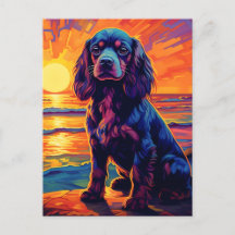 Cavalier King Charles Spaniel Coucher de soleil / 