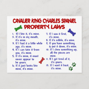 Carte Postale CAVALIER KING CHARLES SPANIEL Propriété Lois 2