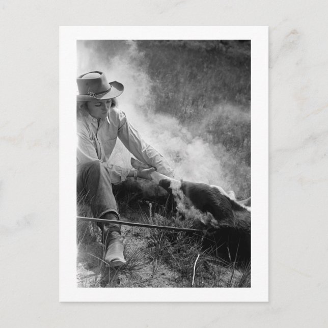 Carte Postale Cavalière de rodéo luttant contre un veau, années  (Devant)