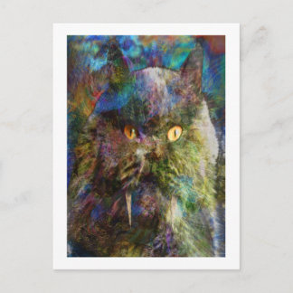 Carte Postale Cave Cat