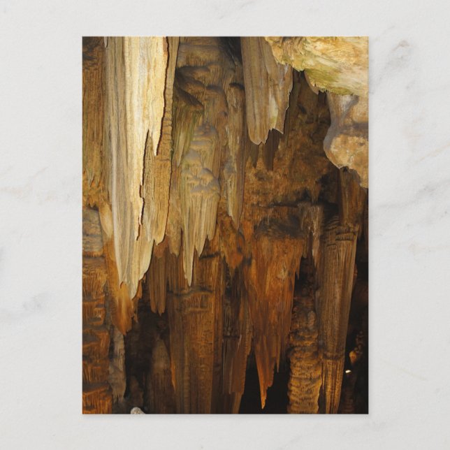 Carte Postale Cavernes Luray (Devant)