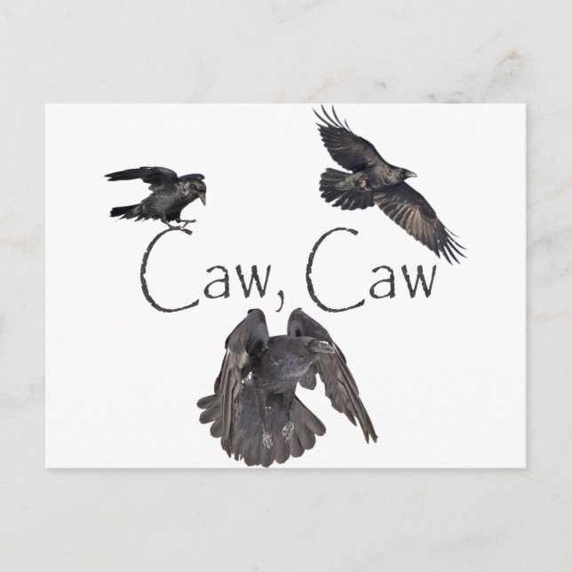 Carte Postale Caw Caw (Devant)