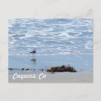 Carte Postale Cayucos Ca