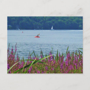 CARTE POSTALE CAYUGA LAKE, ITHACA, N.Y.