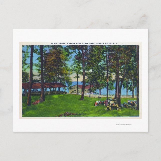 Carte Postale Cayuga Lake State Park Scene (Devant)