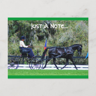 Carte Postale cde de chêne vivant