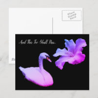 Ce trop passera cygne couleur inspirationnel