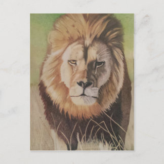 Carte Postale Cecil le lion