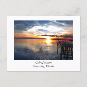 Carte Postale Cedar Point Floride