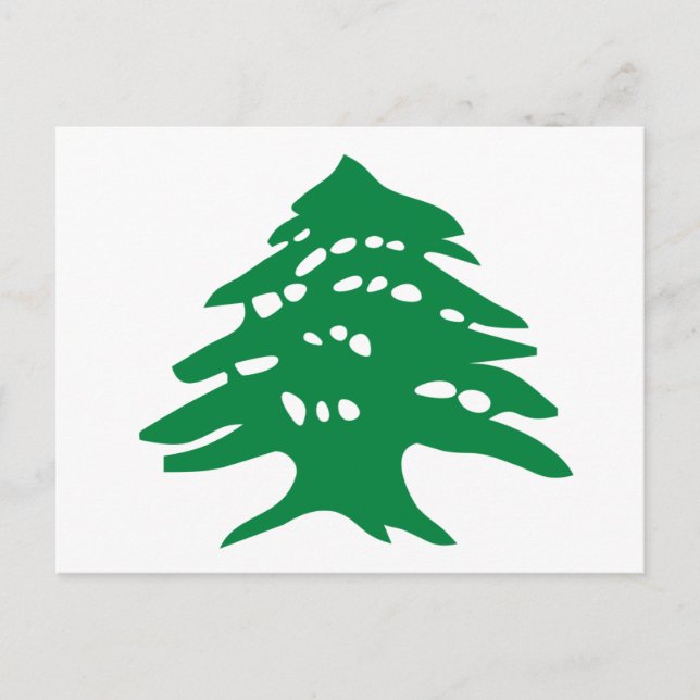 Carte Postale Cèdre vert Liban (Devant)
