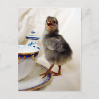 "Cela ne fait pas partie de mon contrat" dit le po