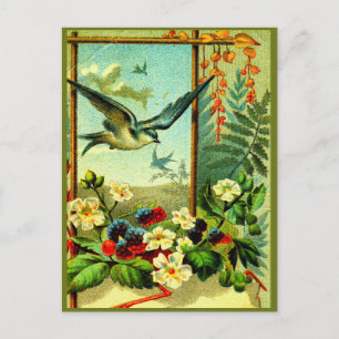 Carte Postale "Celebrate Nature" dans le style!