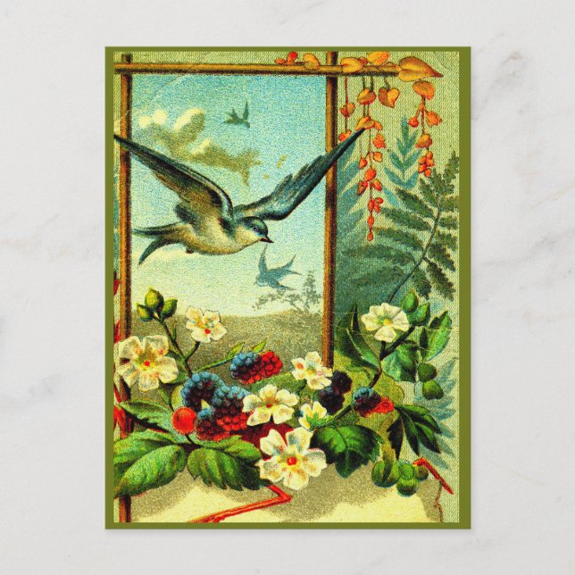 Carte Postale "Celebrate Nature" dans le style! (Devant)