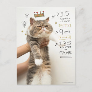 Carte Postale Célébrité de chat Internet