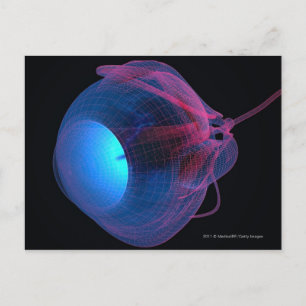 Carte Postale Cellule filaire des muscles de l'oeil