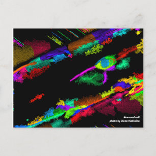 Carte postale cellule neuronale